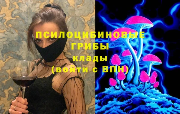 прущий лед Абаза