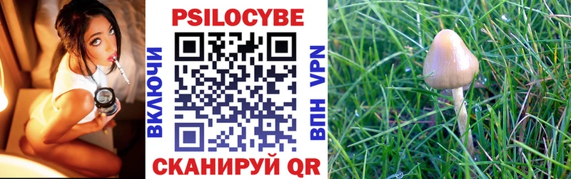 Псилоцибиновые грибы мухоморы  hydra рабочий сайт  Тарко-Сале 